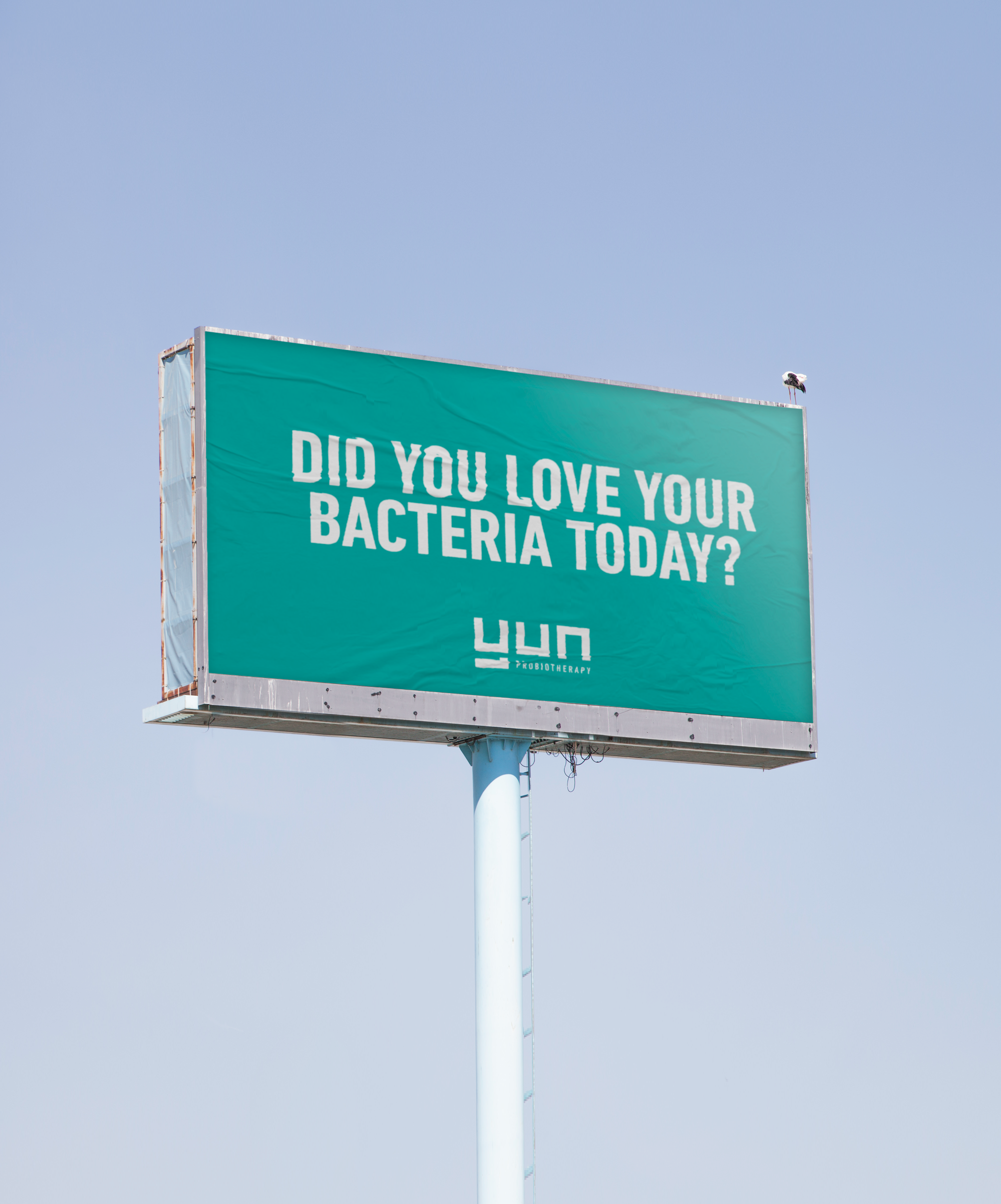 Love your bacteria