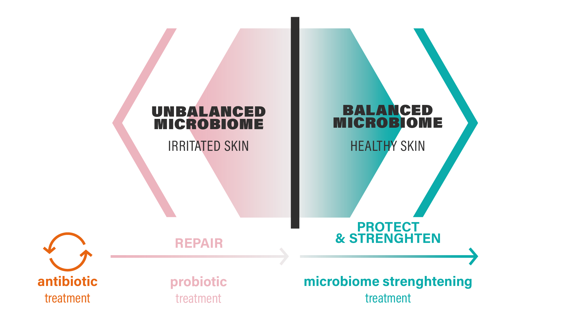 BALANCED MICROBIOME_ENG@4x