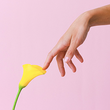 Tumbnail_0002_pexels-anna-shvets-5217954